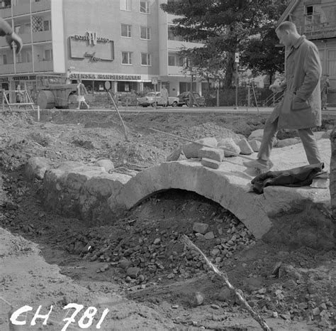  Den Sjungande Skogskungen: En Undersökning av Världen, Musikens Magiska Kraft och Oväntade Vänners Befrielse!