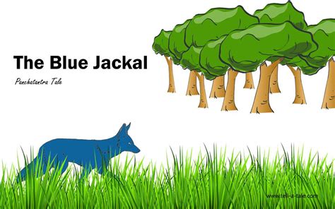  The Blue Jackal! En mystisk och tankeväckande berättelse från 1400-talets Indien.